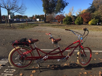 Pedago Electric Tandem